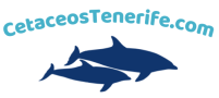 Avistamiento de Cetáceos en Tenerife